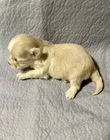 processed/c51f0477-29bd-4d7b-8e25-ed8ec4c57946/listing/8063a7a7-48c7-4797-9c17-dd5e7456b8b3/1956c76b-8476-4e29-85f9-2a341981adb5