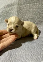 processed/c51f0477-29bd-4d7b-8e25-ed8ec4c57946/listing/8063a7a7-48c7-4797-9c17-dd5e7456b8b3/1cc6f54d-5634-4a37-9ea1-8d8d08694772