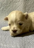 processed/c51f0477-29bd-4d7b-8e25-ed8ec4c57946/listing/8063a7a7-48c7-4797-9c17-dd5e7456b8b3/8ae7da0c-7836-4d90-b25d-a637baa24a40