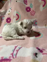 processed/c51f0477-29bd-4d7b-8e25-ed8ec4c57946/listing/8063a7a7-48c7-4797-9c17-dd5e7456b8b3/922d0bf8-608f-497b-afcc-09105226da52