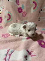 processed/c51f0477-29bd-4d7b-8e25-ed8ec4c57946/listing/8063a7a7-48c7-4797-9c17-dd5e7456b8b3/d74cf7d3-69f6-4dee-96af-67667a40a979