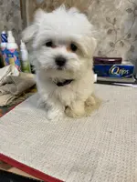 processed/c51f0477-29bd-4d7b-8e25-ed8ec4c57946/listing/9ea2732a-1a48-43d8-800e-c34bc3b95fb9/024a7fcf-ef12-4fe6-862e-38cb019be1d6