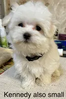 processed/c51f0477-29bd-4d7b-8e25-ed8ec4c57946/listing/9ea2732a-1a48-43d8-800e-c34bc3b95fb9/17505ae4-b3b1-4a47-8b9e-8c0ae660d9cc