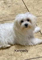 processed/c51f0477-29bd-4d7b-8e25-ed8ec4c57946/listing/9ea2732a-1a48-43d8-800e-c34bc3b95fb9/32edc300-125a-4c5a-a0a1-872329d7ca28