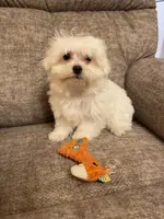 processed/c51f0477-29bd-4d7b-8e25-ed8ec4c57946/listing/9ea2732a-1a48-43d8-800e-c34bc3b95fb9/8bd8f376-3fa7-4abf-88e7-3d0b640e072c