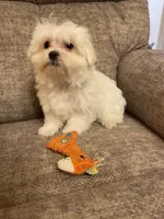 processed/c51f0477-29bd-4d7b-8e25-ed8ec4c57946/listing/9ea2732a-1a48-43d8-800e-c34bc3b95fb9/a88d098f-0930-4407-afe4-34526cb6f41d