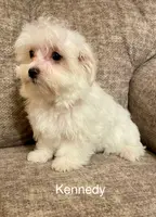 processed/c51f0477-29bd-4d7b-8e25-ed8ec4c57946/listing/9ea2732a-1a48-43d8-800e-c34bc3b95fb9/edbc60c6-b9c2-42e8-bc6b-85f27b83355f