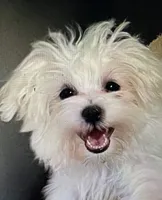 processed/c51f0477-29bd-4d7b-8e25-ed8ec4c57946/listing/9ea2732a-1a48-43d8-800e-c34bc3b95fb9/fc4621da-c388-4de3-8415-e68fb75a0b27