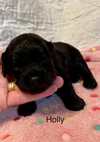 processed/c51f0477-29bd-4d7b-8e25-ed8ec4c57946/listing/c516cb78-7e5a-48fb-845e-51c757ec2dac/19c9a29b-1ec9-49dd-9538-8c10673fd207