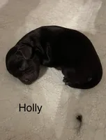 processed/c51f0477-29bd-4d7b-8e25-ed8ec4c57946/listing/c516cb78-7e5a-48fb-845e-51c757ec2dac/44be427c-3891-442f-a05f-ea6cdd43b4c1