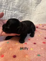 processed/c51f0477-29bd-4d7b-8e25-ed8ec4c57946/listing/c516cb78-7e5a-48fb-845e-51c757ec2dac/e2bdbc53-f4f9-4963-95d9-1018e7135462