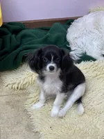 processed/c51f0477-29bd-4d7b-8e25-ed8ec4c57946/listing/f21e2609-7f70-4e58-89fb-8fce207a1838/3510d57e-98d4-4f0c-b129-f745032a797c