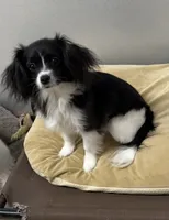 processed/c51f0477-29bd-4d7b-8e25-ed8ec4c57946/listing/f21e2609-7f70-4e58-89fb-8fce207a1838/49e00ca3-49dc-4e8f-9197-10079ae47fed