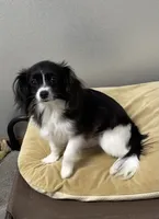 processed/c51f0477-29bd-4d7b-8e25-ed8ec4c57946/listing/f21e2609-7f70-4e58-89fb-8fce207a1838/9430a262-2064-47d6-9434-da6ba0378735