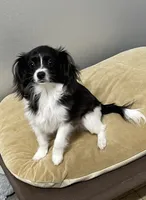 processed/c51f0477-29bd-4d7b-8e25-ed8ec4c57946/listing/f21e2609-7f70-4e58-89fb-8fce207a1838/a4b29a68-301a-405a-a3de-de6e7616f99e