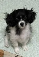 processed/c51f0477-29bd-4d7b-8e25-ed8ec4c57946/listing/f21e2609-7f70-4e58-89fb-8fce207a1838/db5a8a4c-c598-4b8d-9a3d-0cc3b52aa8d4