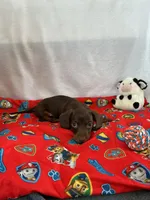 processed/c523f066-8434-476d-a406-6b9ee1d9beb7/listing/0996fb09-3260-4c41-b29e-d560b02a2330/40202024-88d4-4424-9efd-c4a6f209f446