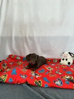 processed/c523f066-8434-476d-a406-6b9ee1d9beb7/listing/0996fb09-3260-4c41-b29e-d560b02a2330/5b13acff-b97e-4a0e-a4e0-3b1a9f3468fc