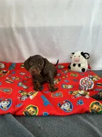 processed/c523f066-8434-476d-a406-6b9ee1d9beb7/listing/0996fb09-3260-4c41-b29e-d560b02a2330/689575e0-5d6f-41be-a5ea-ef7d4f740619