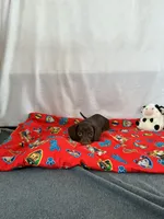 processed/c523f066-8434-476d-a406-6b9ee1d9beb7/listing/0996fb09-3260-4c41-b29e-d560b02a2330/c47f000c-dbac-4b99-b098-2f5ee6e5be85