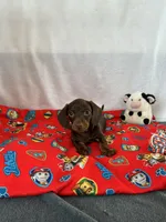 processed/c523f066-8434-476d-a406-6b9ee1d9beb7/listing/0996fb09-3260-4c41-b29e-d560b02a2330/ffa5f1cc-19f5-4292-9ab4-047e61d67c4d