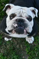 processed/c52a21a5-abd4-4081-a356-38d4582486f9/listing/c6d6f8ec-8e25-419b-bc05-35db432f6f2b/63b70fb9-1309-4297-909b-637e266cf420