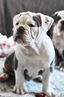 processed/c52a21a5-abd4-4081-a356-38d4582486f9/listing/c6d6f8ec-8e25-419b-bc05-35db432f6f2b/d020f24f-880d-4601-908f-4a93a9e18fb5