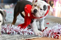 processed/c52a21a5-abd4-4081-a356-38d4582486f9/listing/c6d6f8ec-8e25-419b-bc05-35db432f6f2b/dde597b3-f738-4b0e-a581-07bcf10b9a4f