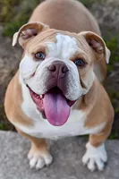 processed/c52a21a5-abd4-4081-a356-38d4582486f9/listing/c6d6f8ec-8e25-419b-bc05-35db432f6f2b/ecef0ce6-3d14-4fe5-8cb0-9dd68b086a85