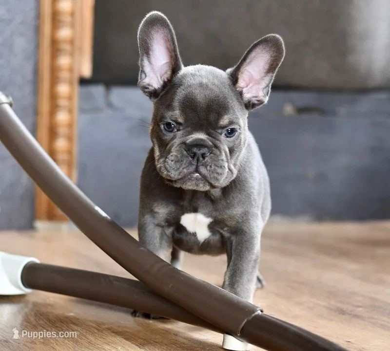 Free delivery Rolla MO 3/8