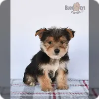 processed/c53785bd-e574-4ca2-80a5-e5457a245e79/facility/191c5bb7-725b-4958-b0f6-091431982b88