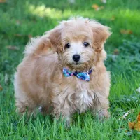 processed/c53785bd-e574-4ca2-80a5-e5457a245e79/facility/6042c068-a0c1-4bfd-8f5b-143249c1dc2e