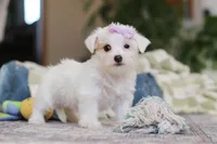 processed/c53785bd-e574-4ca2-80a5-e5457a245e79/listing/00e39113-a2f9-4821-ba70-0ac2be7529ed/26992483-eb43-4059-b718-25edc9f4132d