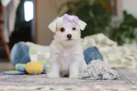 processed/c53785bd-e574-4ca2-80a5-e5457a245e79/listing/00e39113-a2f9-4821-ba70-0ac2be7529ed/dd690107-b06b-4e60-a2de-397fdb40d2da