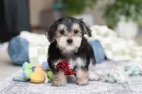 processed/c53785bd-e574-4ca2-80a5-e5457a245e79/listing/090f6fea-924b-4263-8d05-1f445f420a3a/4e20085c-a57f-49e2-bea3-7596526cea18