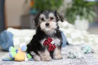 processed/c53785bd-e574-4ca2-80a5-e5457a245e79/listing/090f6fea-924b-4263-8d05-1f445f420a3a/91ee581d-6b41-4180-96fe-13abfb7b7b79