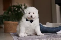 processed/c53785bd-e574-4ca2-80a5-e5457a245e79/listing/191d1c9c-d7f6-4533-b142-60c38f3aedab/0a1919f3-6ca1-4e91-99ed-6caecb9f7189