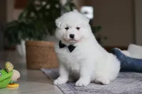 processed/c53785bd-e574-4ca2-80a5-e5457a245e79/listing/191d1c9c-d7f6-4533-b142-60c38f3aedab/acc79f25-15a5-4d8c-ac51-33e2a24271b5