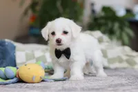 processed/c53785bd-e574-4ca2-80a5-e5457a245e79/listing/5a609c44-6289-4dfa-8bcf-a9485f69f646/03be0777-9dd7-4aac-aa12-31c706510b85