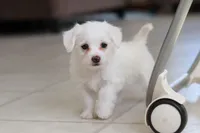 processed/c53785bd-e574-4ca2-80a5-e5457a245e79/listing/5a609c44-6289-4dfa-8bcf-a9485f69f646/4a593114-3cbf-4618-a856-dcfad7b1dbf5