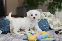 processed/c53785bd-e574-4ca2-80a5-e5457a245e79/listing/5a609c44-6289-4dfa-8bcf-a9485f69f646/4d0e943d-790f-44cd-8438-3c56a736b963