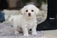 processed/c53785bd-e574-4ca2-80a5-e5457a245e79/listing/5a609c44-6289-4dfa-8bcf-a9485f69f646/74848170-a344-43b7-b5dd-5978f5bd0cdc