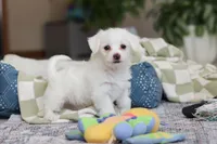 processed/c53785bd-e574-4ca2-80a5-e5457a245e79/listing/5a609c44-6289-4dfa-8bcf-a9485f69f646/7f0faf28-2b1e-4882-8910-134fdb5cb7a2