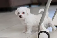 processed/c53785bd-e574-4ca2-80a5-e5457a245e79/listing/5a609c44-6289-4dfa-8bcf-a9485f69f646/bffa1fdb-fdc8-4ad1-8015-f71661600657