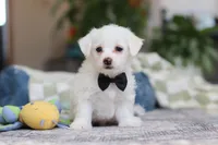 processed/c53785bd-e574-4ca2-80a5-e5457a245e79/listing/5a609c44-6289-4dfa-8bcf-a9485f69f646/e8ef42ee-9b3f-4024-aa65-1cf80fd5ce0d