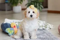 processed/c53785bd-e574-4ca2-80a5-e5457a245e79/listing/8e632e77-dd9c-4003-9b27-47b096a11052/b2af1741-54a9-491b-9745-4cdc734e10e5