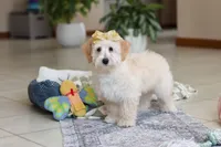 processed/c53785bd-e574-4ca2-80a5-e5457a245e79/listing/8e632e77-dd9c-4003-9b27-47b096a11052/b896bb16-018c-42e5-91d1-3b9a31118683