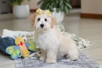 processed/c53785bd-e574-4ca2-80a5-e5457a245e79/listing/8e632e77-dd9c-4003-9b27-47b096a11052/c200e65e-9178-4ede-a944-818dde029c4a