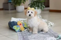 processed/c53785bd-e574-4ca2-80a5-e5457a245e79/listing/8e632e77-dd9c-4003-9b27-47b096a11052/dfdcee97-b755-4452-9367-733973373e66