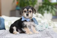 processed/c53785bd-e574-4ca2-80a5-e5457a245e79/listing/92715735-9bfb-4d66-bad1-9dd6afc98582/41442db3-71f8-4a59-8532-e81f456b7220